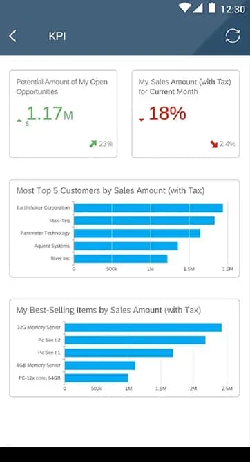 SAP Business One – ekran aplikacije